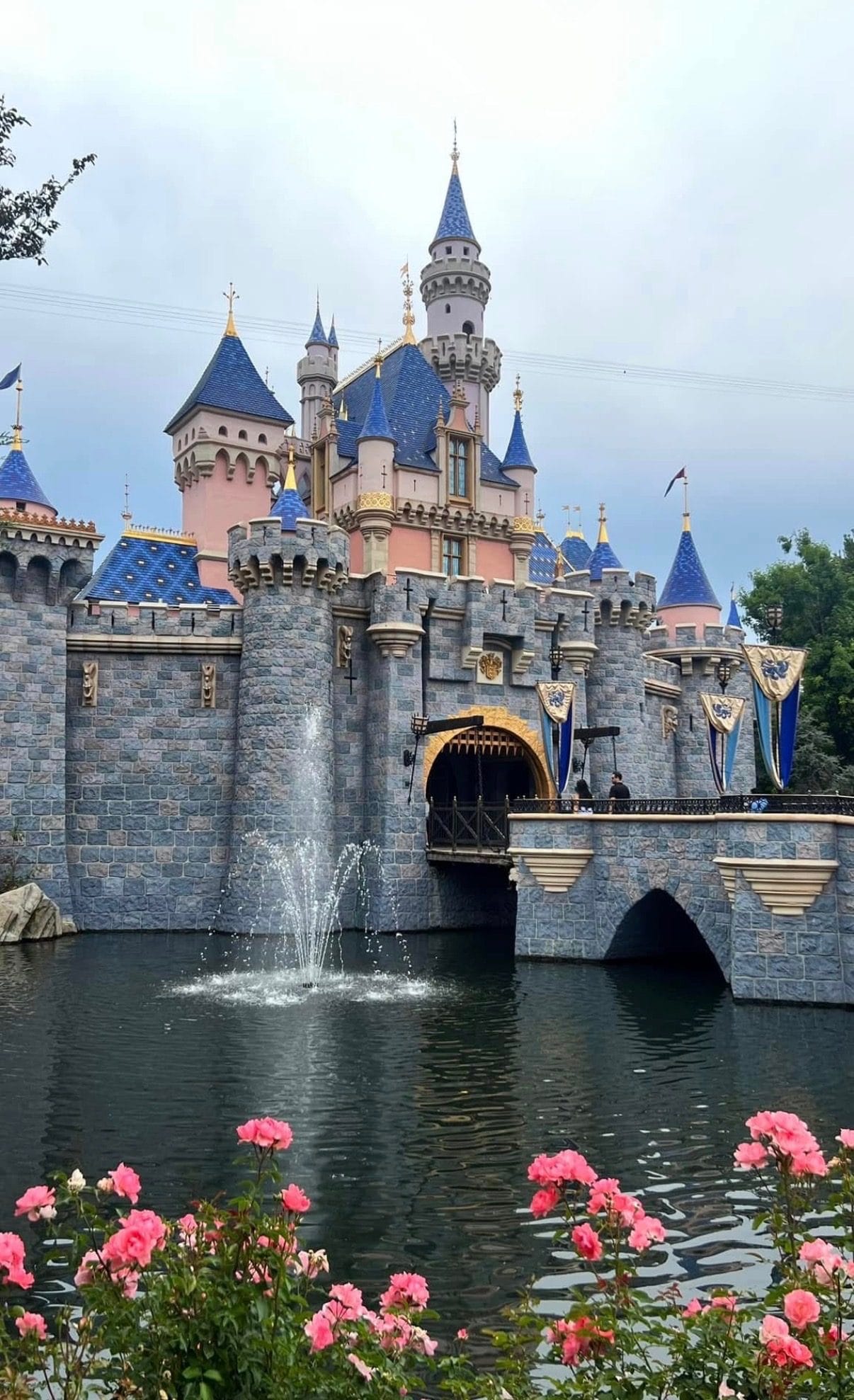 Disneyland