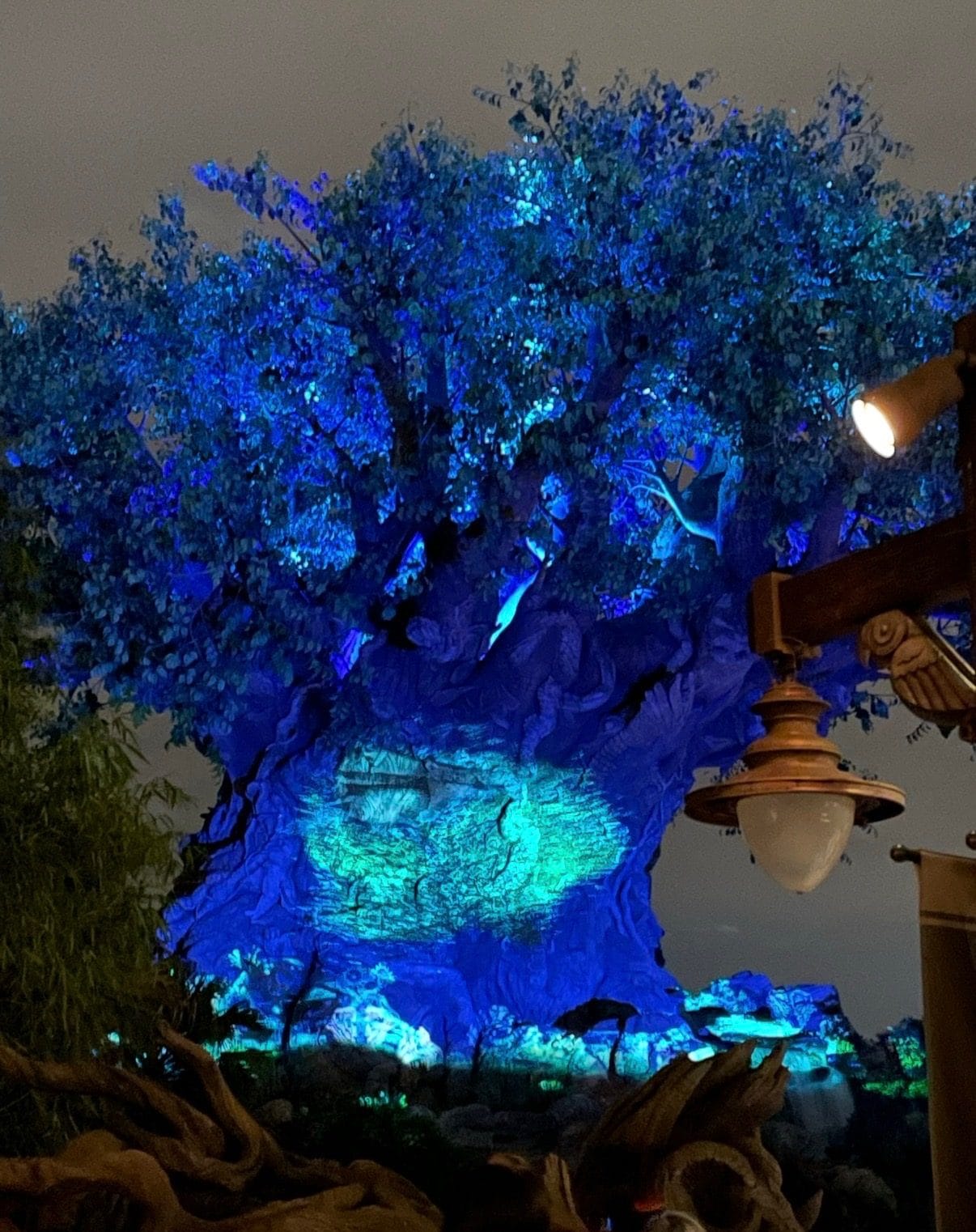 The Tree of Life lit up at night at Disney's Animal Kingdom