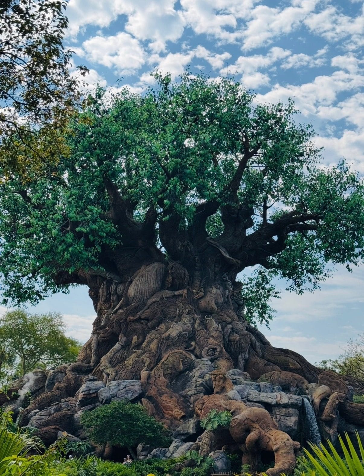 The Tree of Life at Disney's Animal Kingdom, Walt Disney World